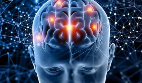 Nueva membrana anatómica que protege al cerebro
