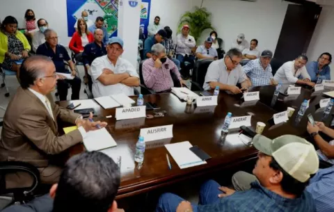 Panamá importará 2 millones de quintales de arroz