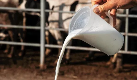¿Qué es la pasteurización?