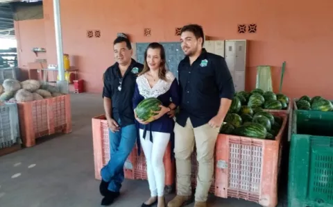 Proyecciones indican que siembra de sandía y melón aumentará este año