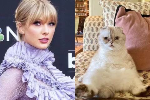Taylor Swift tiene la tercera mascota más rica del mundo
