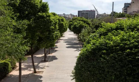 Biólogo aboga por el rescate de áreas verdes y  espacios públicos 