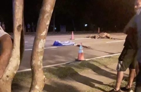 Un hombre y su  caballo mueren atropellados en Chiriquí