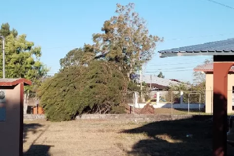 Se registran fuertes vientos en varias áreas de Chiriquí