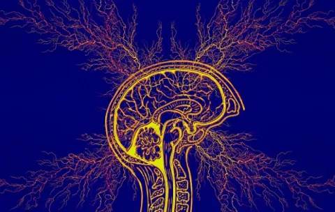 Epilepsia, opciones contra este trastorno neurológico