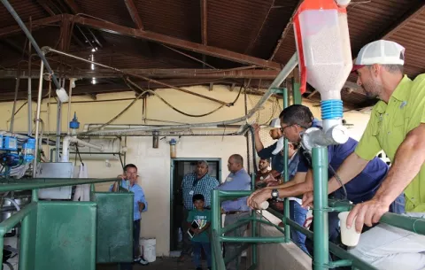 Análisis de datos por inteligencia artificial llegan al sector lechero