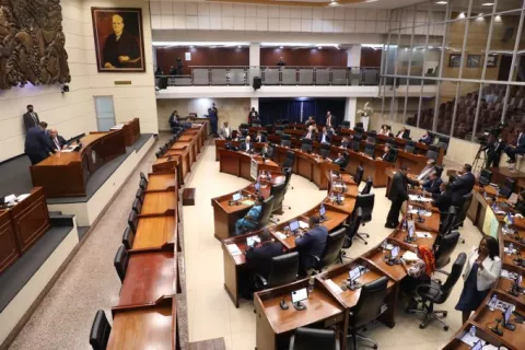 A paso de tortuga camina proyecto de medicamentos