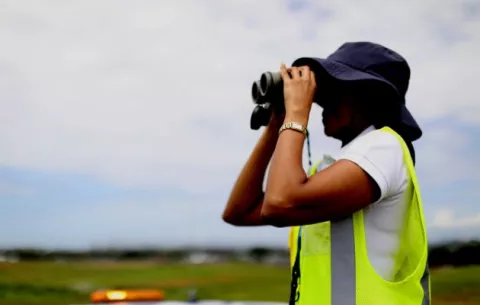 Alerta en el aeropuerto por migración de aves rapaces 