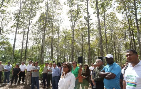 Inauguran planta procesadora de madera reforestada en Cañitas 