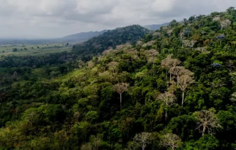 Panamá tiene más de 187,000 hectáreas de bosques restauradas