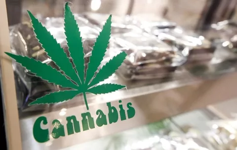ONU: Legalizar el cannabis es dañino para la salud pública