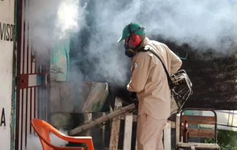  San Miguelito registra 119 casos de dengue