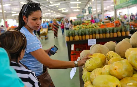 América Latina, con el costo más alto de una dieta saludable
