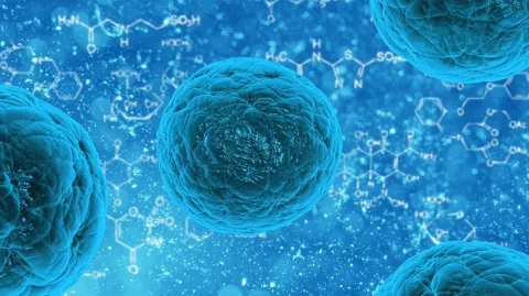 Muertes en el Complejo no fueron a causa de la E.coli