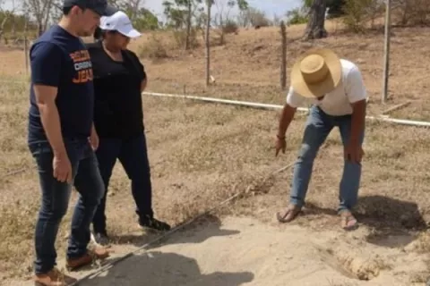 Promueven protección de la iguana verde en Los Santos