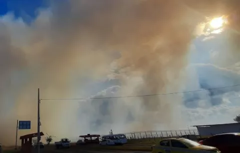 Controlan incendio de masa vegetal en Parque Nacional Barú