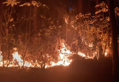 Alertan de quemas sin control en regiones de Veraguas