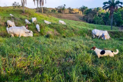 Recuperación del tramo medio del río Trinidad