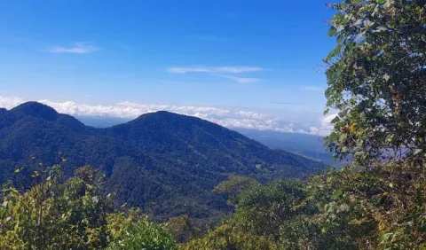 Renacimiento, una opción para el turismo ecológico