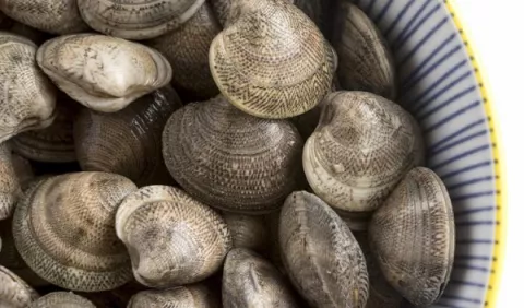 Almejas al ajillo, plato clásico y sencillo