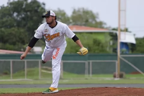 Béisbol mayor y sus líderes individuales