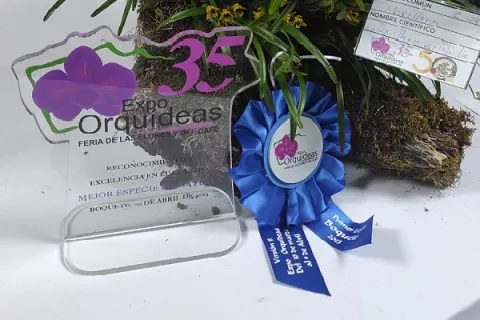 Más de 25 mil personas visitaron la feria de Las Orquídeas
