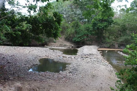 Peligra la producción de agua en el distrito de Chame