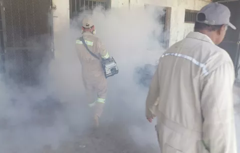 Más de 300 casos de dengue en la provincia de Colón 