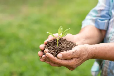 Viabilidad e inversión con impacto social, reto empresarial