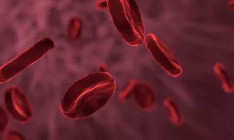 Hemofilia: ¡Señales de alerta!