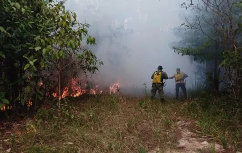 Bomberos atienden 80 incendios de masa vegetal en 72 horas