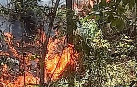 Se registra incendio forestal en la reserva La Yeguada 