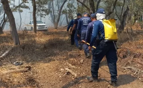 Continúa labor de extinción de incendio forestal en Parita