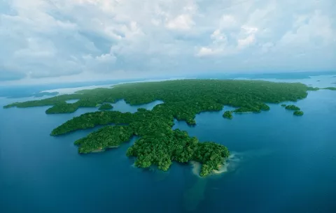 Estación científica de Isla Barro Colorado cumple 100  años