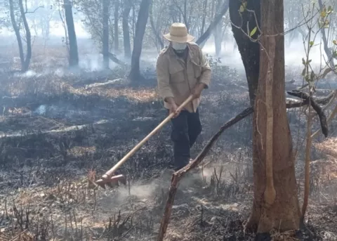 Más de 400 hectáreas de mangle afectadas por incendio 