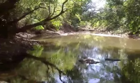Denuncian presunto envenenamiento del río San Pedro