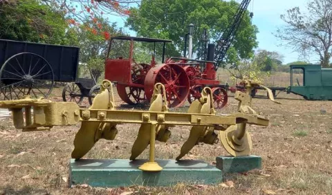 El Roble celebra su Festival de la Caña y el Guarapo