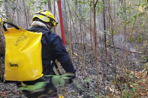 Controlan incendio en la reserva forestal de La Yeguada