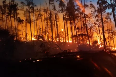 Luchan por combatir incendio forestal en La Yeguada