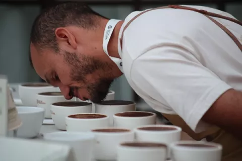 Café de especialidad de Panamá logra excelentes resultados