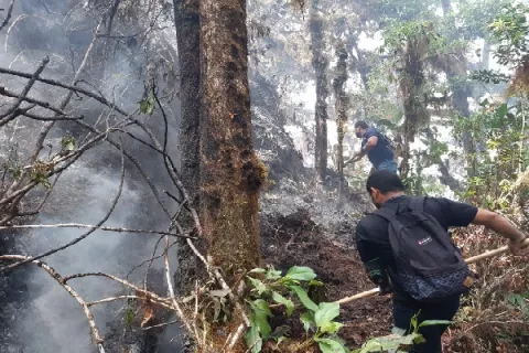 Incendio forestal en Cerro Punta está controlado en un 80%