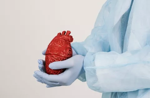 Innovaciones para el trasplante de corazón o pulmón