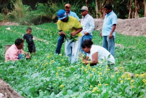 Propietarios de fincas agroturísticas exponen necesidades