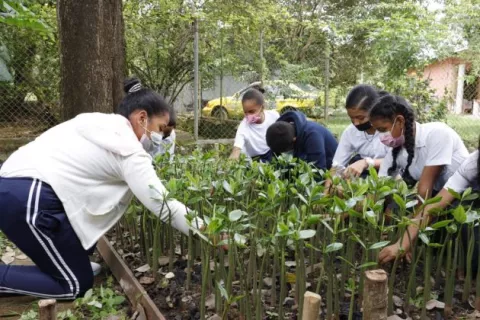 Ley sobre desarrollo sostenible impactará educación panameña