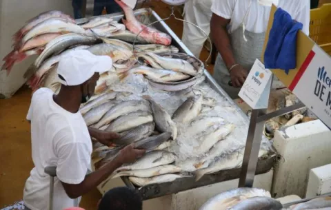  Exportaciones de productos del mar aumentaron un 32.5% 