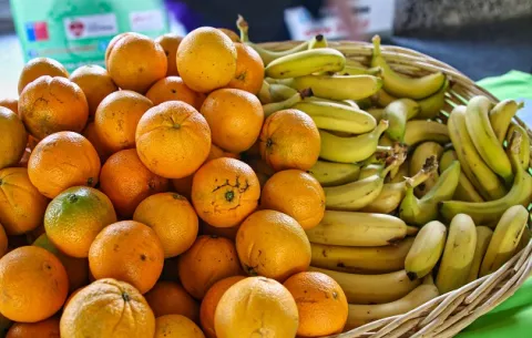 Accesibilidad, uno de los retos en el consumo de más frutas