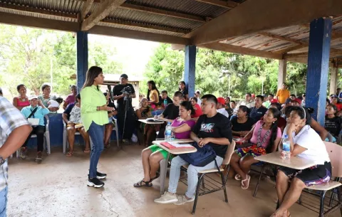 Indígenas wounaan denuncian tala ilegal de madera