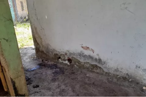 Fiscal: Lina Fabiola murió de varios golpes en la cabeza