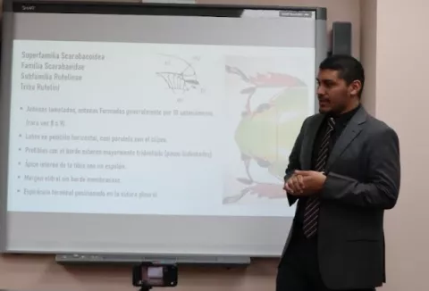 Panameño, en directorio de especialistas en escarabajos