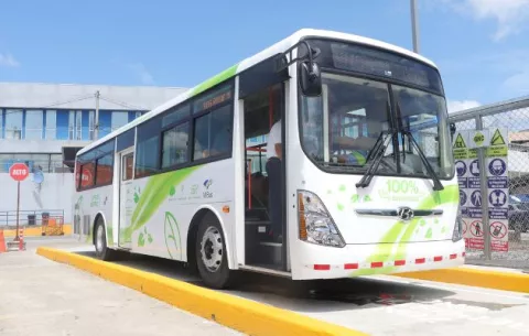 MiBus iniciará plan piloto con buses a gas natural vehicular
